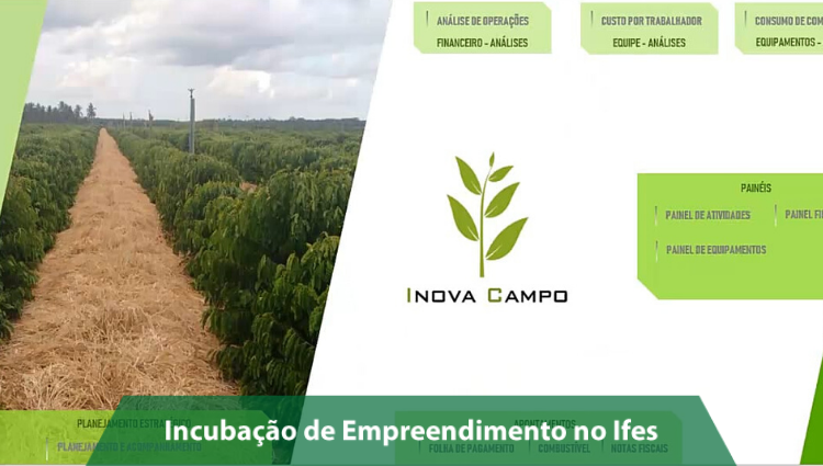 sistema inova campo 03