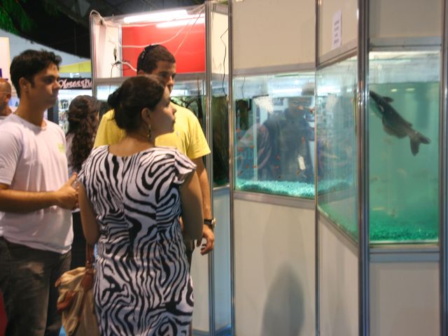 granexpoes_2013_11