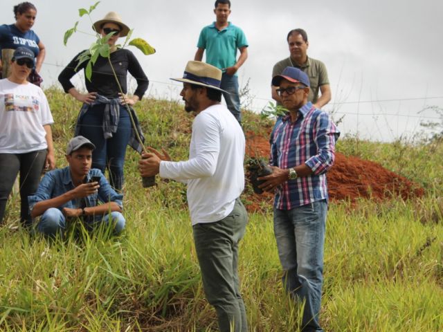 Rede de Educadores Ambientais do Ifes promove mutirão de plantio de árvores