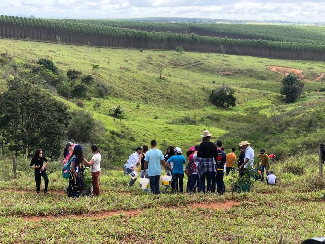 Rede de Educadores Ambientais do Ifes promove mutirão de plantio de árvores