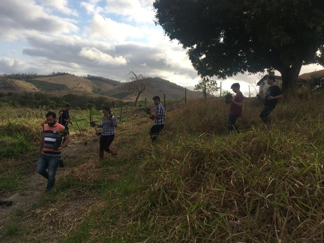 Rede de Educadores Ambientais do Ifes promove mutirão de plantio de árvores