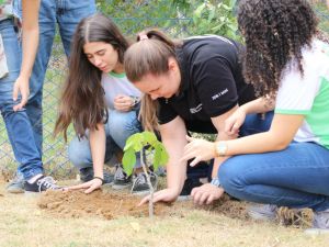 Rede de Educadores Ambientais do Ifes promove mutirão de plantio de árvores