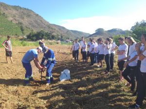 Rede de Educadores Ambientais do Ifes promove mutirão de plantio de árvores