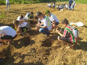 Rede de Educadores Ambientais do Ifes promove mutirão de plantio de árvores