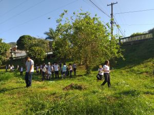 Rede de Educadores Ambientais do Ifes promove mutirão de plantio de árvores