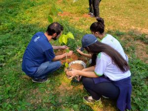 Rede de Educadores Ambientais do Ifes promove mutirão de plantio de árvores