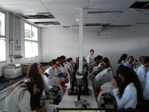 Semana de aulas práticas sobre o Aedes aegypti no Campus Ibatiba