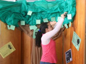 Semana do Meio Ambiente - campus Vitória