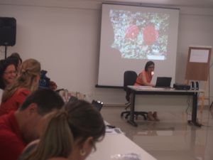 2013 - Treinamento dos professores de Inglês da Rede Federal