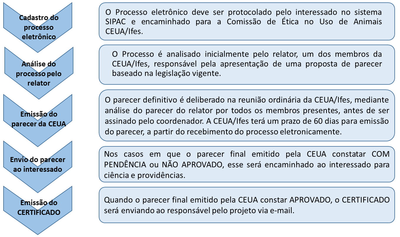 tramitacao processo